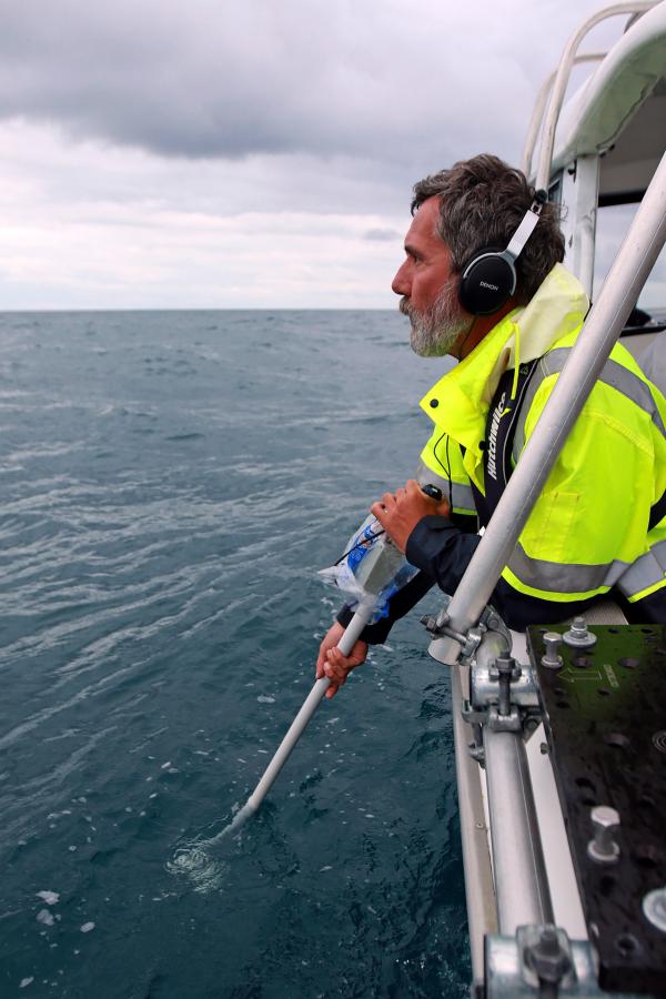 Bild 1 von 15: Der deutsche Biologe Jochen Zaeschmar erforscht Kleine Schwertwale vor Neuseeland und versucht, sie mit einem Unterwasser-Richtmikrofon zu orten.