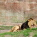 Big Five Asien