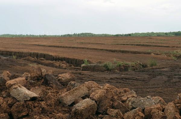 Bild 1 von 4: Im Herzen Irlands: Der Torf der Moore wurde lange zum Heizen verwendet. Die Moorlandschaften aus zersetztem Pflanzenmaterial bedecken 17 Prozent der Insel.
