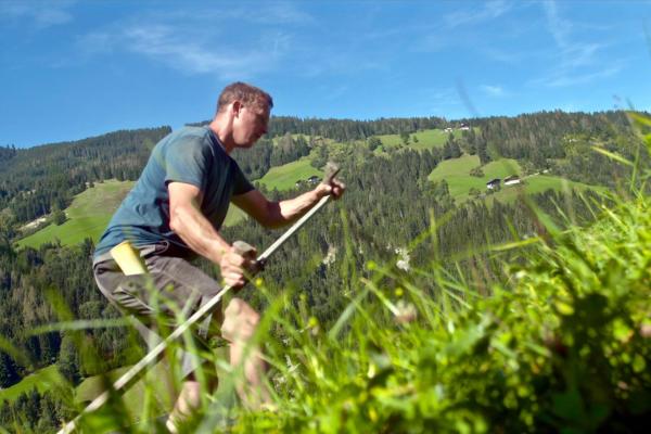 Bild 1 von 25: Im Bild: Griesbauer; Jungbauer Josef Gehwolf.