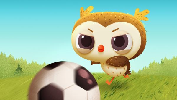 Bild 1 von 1: Odo gründet eine Fußballmannschaft nur für kleine Vögel und stellt sich mit seinem Team einem Spiel gegen die Großen.