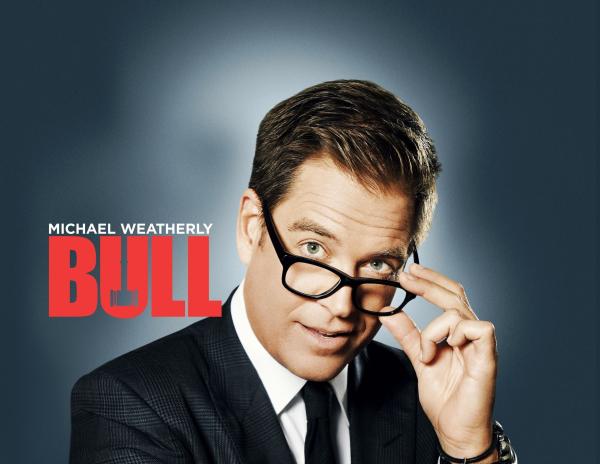 Bild 1 von 12: (3. Staffel) - Bull - Artwork