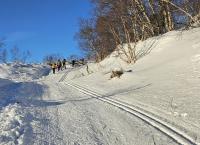 Das Camp in der Wildnis