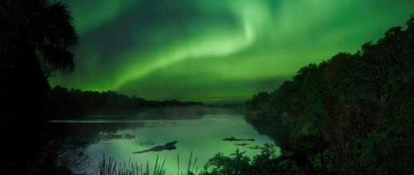 Bild 1 von 8: Vor rund 56 Millionen Jahren ist das Klima auf der Erde so warm, dass sich tropische Regenwälder bis weit in Richtung der Pole erstrecken.