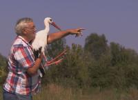 Der alte Mann und der Storch