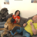 Die großen Hunde - Mit Martin Rütter