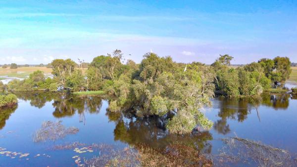 Bild 1 von 23: Im Bild: Tram Chim Nationalpark im Mekong-Delta.