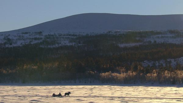 Bild 1 von 1: Mit dem Schlitten zum Weihnachtsbaum schlagen - Winterliche Freuden im vorweihnachtlichen Schweden.