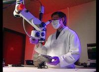 Medical Detectives - Geheimnisse der Gerichtsmedizin