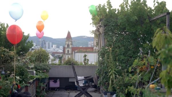 Bild 1 von 7: Im Bild: Gemeinschaftsdachgarten im Gemeindebau im zweiten Bezirk.