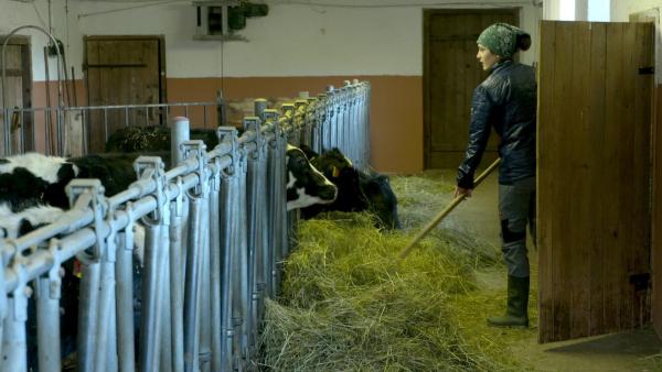 Bild 1 von 3: Im Bild: Schattenschupferhof.