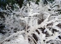 Rätselhafte Phänomene