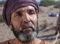 Das Trojanische Pferd