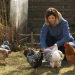 Huhn ist hip - Wolken über dem Hühnerparadies