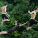 Kings of Summer