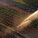 Ressource Wasser - unser wertvollster Rohstoff wird knapp!