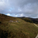 Heimat Österreich