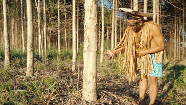 Bild 1 von 1: Im Bild: Häuptling Mãndy Pataxó ist besorgt: industrielle Monokulturen beschneiden den Lebensraum indigener Völker.