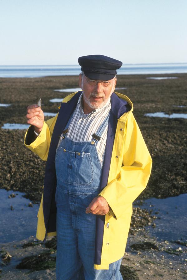 Bild 1 von 3: Peter Lustig (Peter Lustig) ist auf eine riesige Muschelbank voller Miesmuscheln gestoßen.