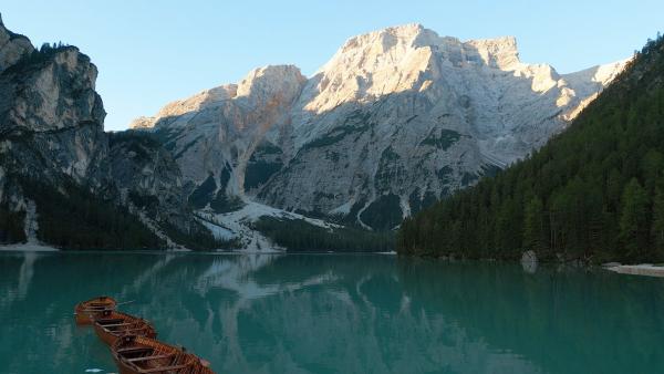 Bild 1 von 1: .