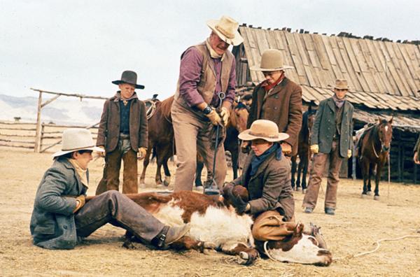 Bild 1 von 4: Bevor sie die Viehherde von Wil Andersen (John Wayne, Mi.) durch die Wüste treiben dürfen, müssen die jungen Rekruten von der nächstgelegenen Schule ihr Talent mit dem Lasso beweisen.