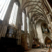Der steinerne Zeuge - Der Stephansdom erzählt Geschichte
