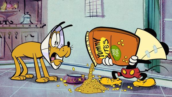 Bild 1 von 1: Micky versucht Pluto aufzuheitern, indem er ebenfalls einen trichterförmigen Kratzschutz trägt. Damit bringt er jedoch sich und Pluto in Gefahr, weil ihm der Kratzschutz die Sicht versperrt.