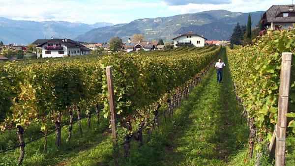 Bild 1 von 2: .