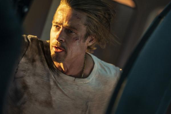 Bild 1 von 12: Ladybug (Brad Pitt)