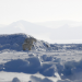 Nach der langen Nacht - Der Winter in Spitzbergen