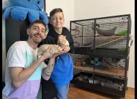 Jason und die Haustiere