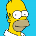 Die Simpsons
