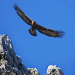 Wildes Italien