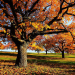 Herbstwelten
