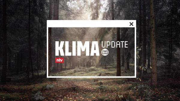 Bild 1 von 1: Das Logo zu