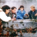 MacGyver