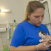 Tierbabys - süß und wild!