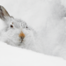 Abenteuer Wildnis