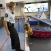 Hunde im Einsatz