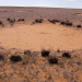 Namibia - Das Geheimnis der Feenkreise