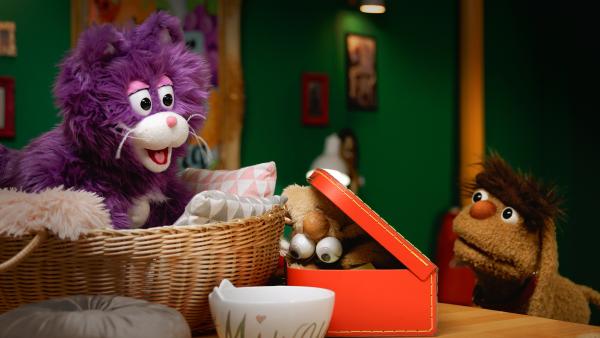 Bild 1 von 3: MiWau packt Moppis Sockenpuppe in ihren Koffer.
© rbb/Anderthalb - Honorarfreie Verwendung gemäß AGB im redaktionellen Zusammenhang mit genannter Sendung bei Nennung \