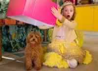 Wuffel, der Wunderhund