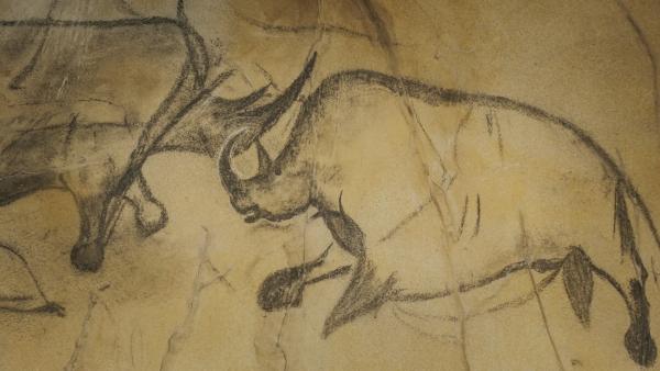 Bild 1 von 6: Einst bevölkerte das Wollnashorn die Kältesteppen Nordeuropas und Asiens.