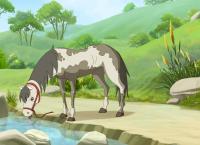 Lenas Ranch