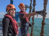 Leben an der Nordsee