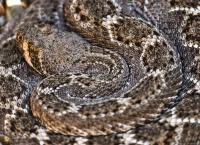 Amerikas Naturwunder: Die Magie der Wüste