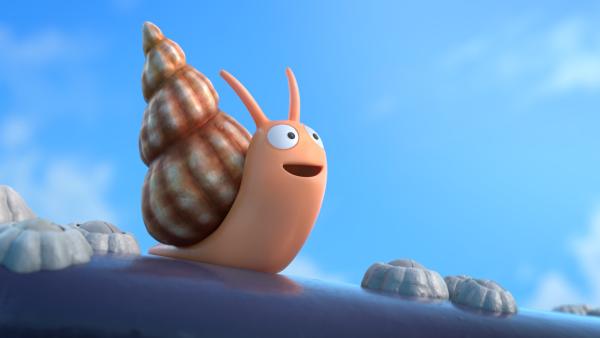 Bild 1 von 6: Die Schnecke ist überwältig von der Schönheit der Welt.
