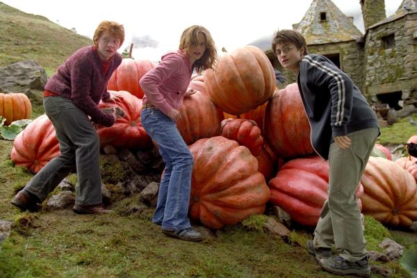 Bild 1 von 15: (L-r) RUPERT GRINT as Ron Weasley, EMMA WATSON as Hermione Granger and DANIEL RADCLIFFE as Harry Potter in Warner Bros. Pictures? fantasy \