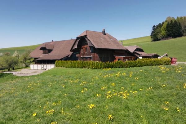 True Crime Schweiz