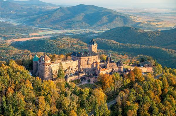 Bild 1 von 4: Der Bau der Hohkönigsburg hatte Folgen für die umliegende Landschaft und deren Flora und Fauna. Er führte zu Veränderungen von Wäldern, Wiesen und Flüssen, was sich auf typische Tierarten der Region auswirkte.